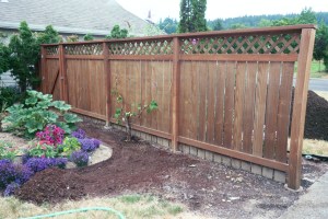 Preparing fence for move 20 feet forward; grapevine must go.