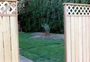 First Landscaping-1999-2