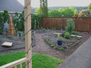 New beds formed the next spring