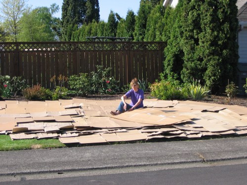 Covering lawn with a layer of flattened cardboard boxes
