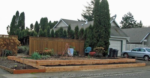 Upgraded community garden bed
