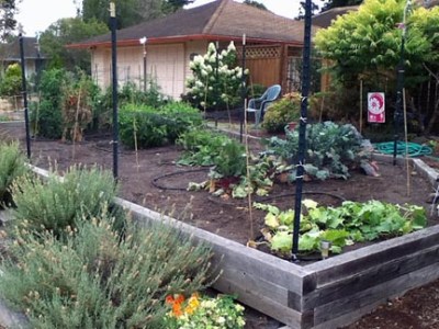 The season of thinning out!