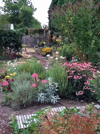 House yard still holding its own; lavender is tired and resting for the season.