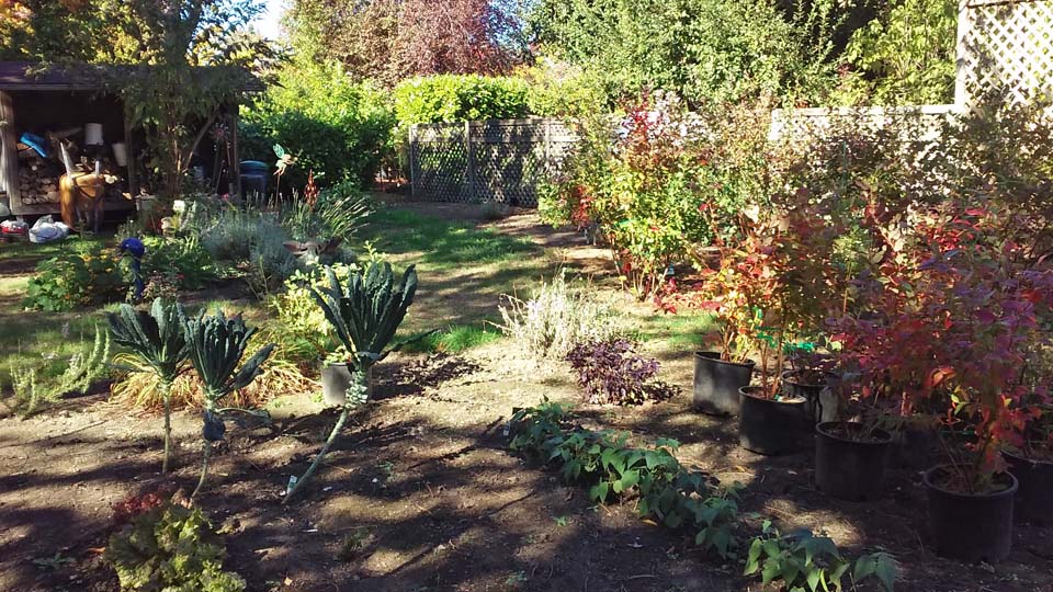 oct15-18a fallsettingin